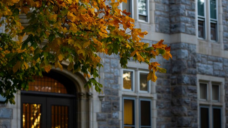 A tree with the colors of autumn stands in front of one of the residence halls on Virginia Tech's campus. Photo by Ryan Young for Virginia Tech.