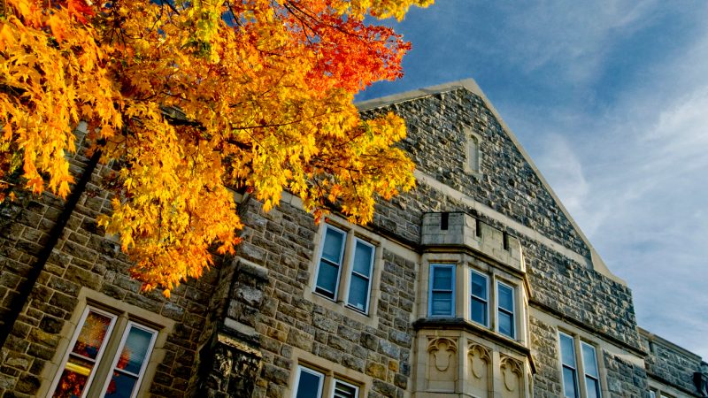 A tree stands in front of Main Campbell Hall, stained with the colors of fall. Photo by Michael Kiernan for Virginia Tech.